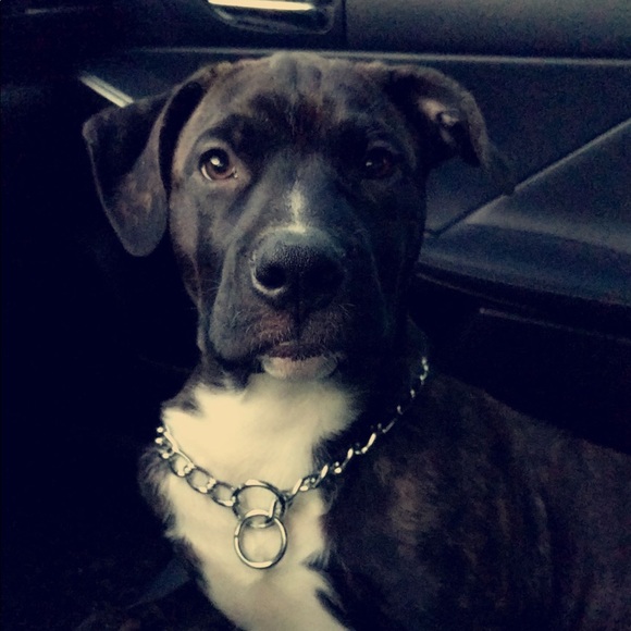 Meet your Posher, Lindsey - Picture 1 of 1